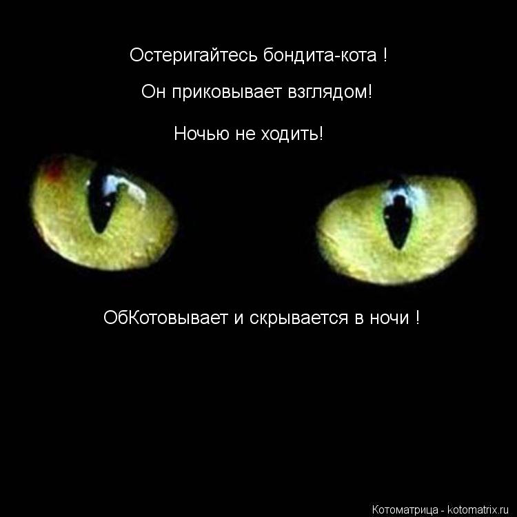 Остеригайтесь бондита-кота ! Он приковывает взглядом! ОбКотовывает и скрывается в ночи ! Ночью не ход... Котоматрица: Остеригайтесь бондита-кота ! Он приковывает взглядом! ОбКотовывает и скрывается в ночи ! Ночью не ходить!