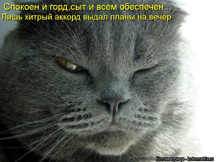 Спокоен и горд,сыт и всем обеспечен... Лишь хитрый аккорд выдал планы на вечер... Котоматрица: Спокоен и горд,сыт и всем обеспечен... Лишь хитрый аккорд выдал планы на вечер