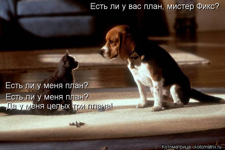 Есть ли у вас план, мистер Фикс? Есть ли у меня план? Есть ли у меня план? Да у меня целых три плана!... Котоматрица: Есть ли у вас план, мистер Фикс? Есть ли у меня план? Есть ли у меня план? Да у меня целых три плана!