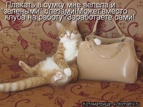 Плакать в сумку мне велела,и "зелеными" слезами!Может,вместо клуба на работу?Заработаете сами!... Котоматрица: Плакать в сумку мне велела,и "зелеными" слезами!Может,вместо клуба на работу?Заработаете сами!