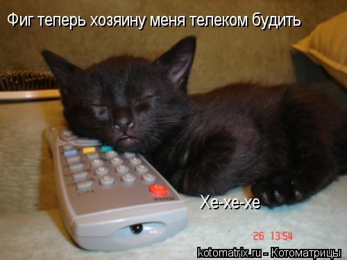 Фиг теперь хозяину меня телеком будить Хе-хе-хе... Котоматрица: Фиг теперь хозяину меня телеком будить Хе-хе-хе