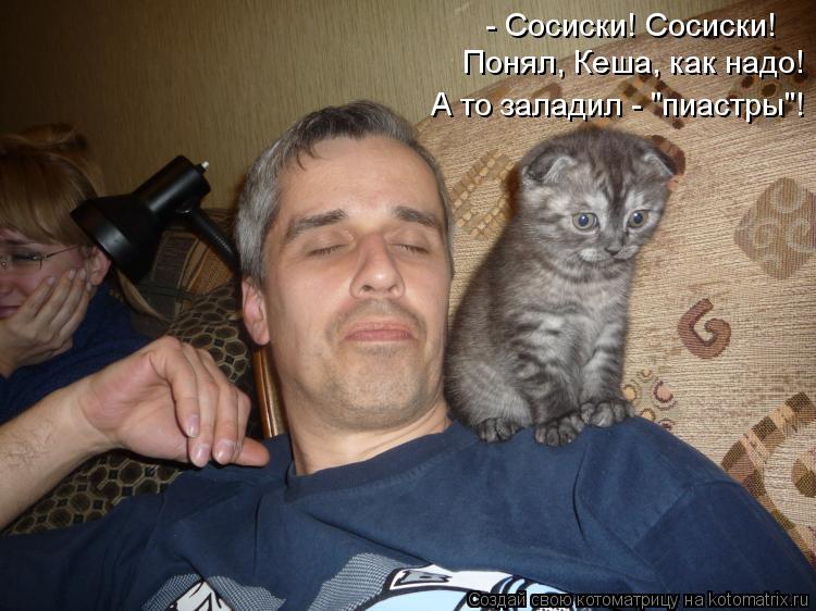 - Сосиски! Сосиски! Понял, Кеша, как надо! А то заладил - "пиастры"!... Котоматрица: - Сосиски! Сосиски! Понял, Кеша, как надо! А то заладил - "пиастры"!