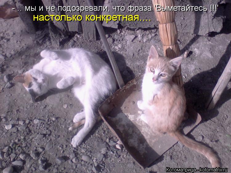 - .. мы и не подозревали, что фраза 'Выметайтесь !!!' настолько конкретная....... Котоматрица: - .. мы и не подозревали, что фраза 'Выметайтесь !!!' настолько конкретная....