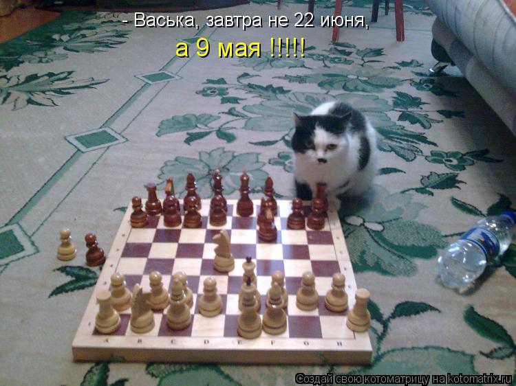 - Васька, завтра не 22 июня, а 9 мая !!!!!... Котоматрица: - Васька, завтра не 22 июня, а 9 мая !!!!!