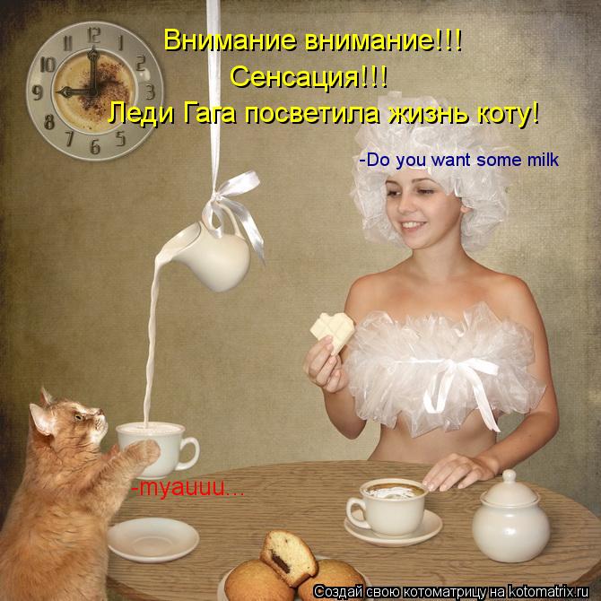 Внимание внимание!!! Сенсация!!! Леди Гага посветила жизнь коту! -Do you want some milk -myauuu...... Котоматрица: Внимание внимание!!! Сенсация!!! Леди Гага посветила жизнь коту! -Do you want some milk -myauuu...