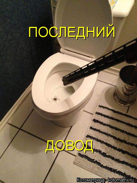 ПОСЛЕДНИЙ ДОВОД... Котоматрица: ПОСЛЕДНИЙ ДОВОД
