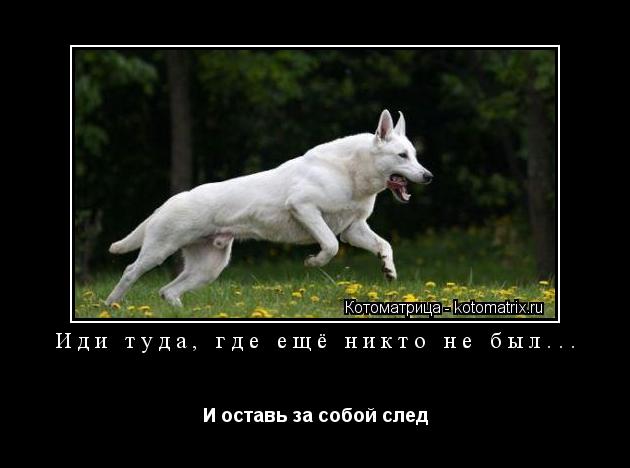Иди туда, где ещё никто не был... И оставь за собой след... Котоматрица: Иди туда, где ещё никто не был... И оставь за собой след