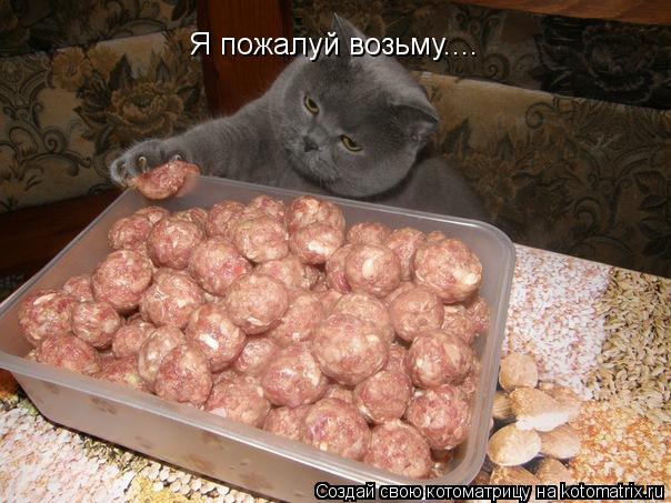 Я пожалуй возьму....... Котоматрица: Я пожалуй возьму....