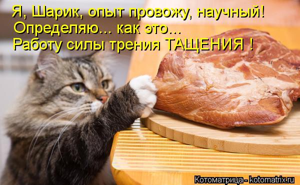 Я, Шарик, опыт провожу, научный! Определяю... как это... Работу силы трения ТАЩЕНИЯ !... Котоматрица: Я, Шарик, опыт провожу, научный! Определяю... как это... Работу силы трения ТАЩЕНИЯ !