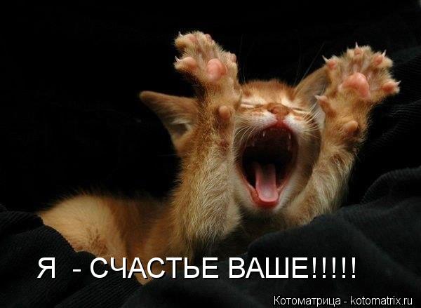 Я - СЧАСТЬЕ ВАШЕ!!!!!... Котоматрица: Я - СЧАСТЬЕ ВАШЕ!!!!!