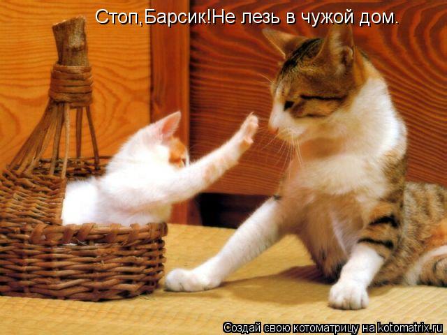 Стоп,Барсик!Не лезь в чужой дом.... Котоматрица: Стоп,Барсик!Не лезь в чужой дом.