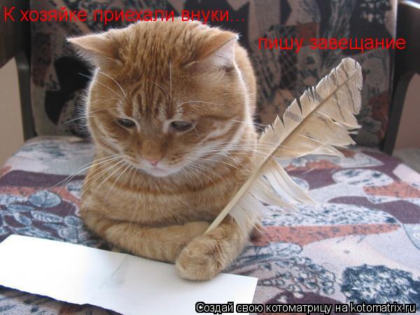 К хозяйке приехали внуки... пишу завещание... Котоматрица: К хозяйке приехали внуки... пишу завещание