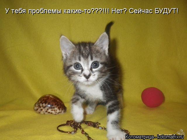У тебя проблемы какие-то???!!! Нет? Сейчас БУДУТ!... Котоматрица: У тебя проблемы какие-то???!!! Нет? Сейчас БУДУТ!