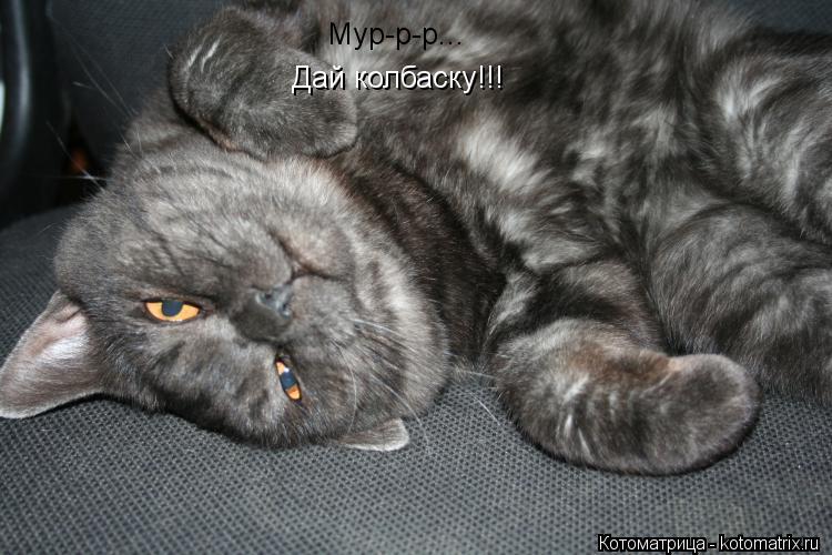 Мур-р-р... Дай колбаску!!!... Котоматрица: Мур-р-р... Дай колбаску!!!