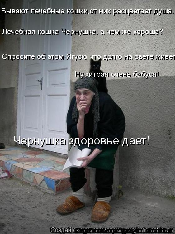 Бывают лечебные кошки,от них расцветает душа. Лечебная кошка Чернушка: а чем же хороша? Спросите об ... Котоматрица: Бывают лечебные кошки,от них расцветает душа. Лечебная кошка Чернушка: а чем же хороша? Спросите об этом Ягусю что долго на свете живет - Ну,