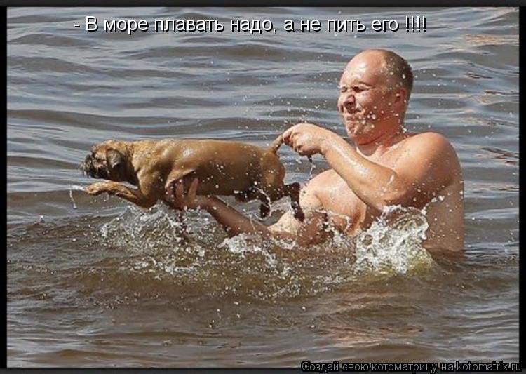 - В море плавать надо, а не пить его !!!!... Котоматрица: - В море плавать надо, а не пить его !!!!