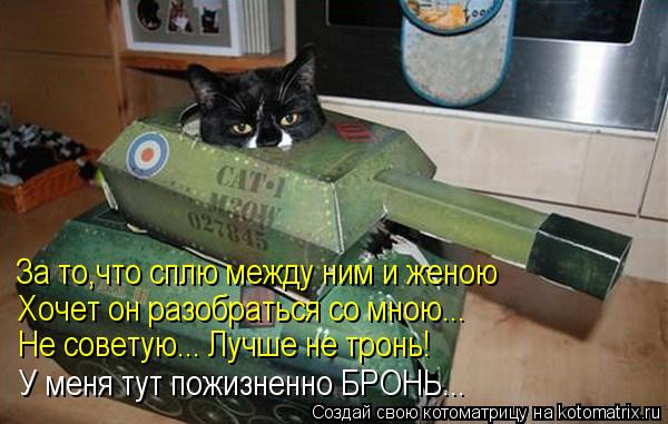 Котоматрица: За то,что сплю между ним и женою Хочет он разобраться со мною... Не советую... Лучше не тронь! У меня тут пожизненно БРОНЬ...