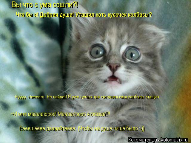 Вы что с ума сошли?! Что бы я! Добрая душа! Утащил хоть кусочек колбасы? Нуууу. Нееееет. Не пойдет! Я... Котоматрица: Вы что с ума сошли?! Что бы я! Добрая душа! Утащил хоть кусочек колбасы? Нуууу. Нееееет. Не пойдет! Я уже целых три холодильника колбасы стащил