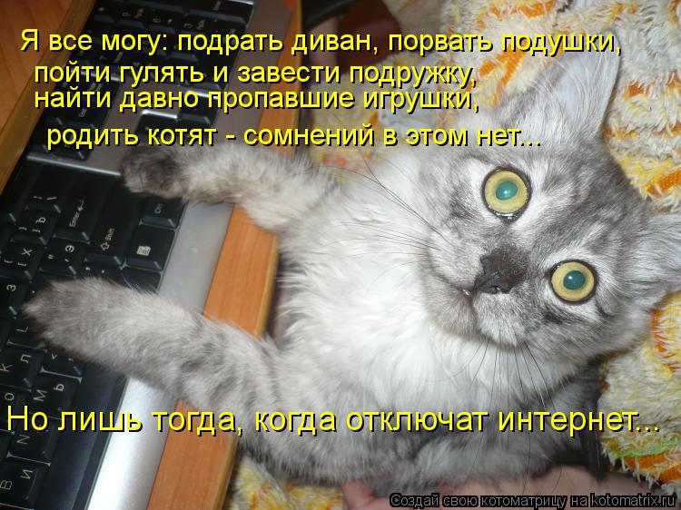 Я все могу: подрать диван, порвать подушки, пойти гулять и завести подружку, найти давно пропавшие и... Котоматрица: Я все могу: подрать диван, порвать подушки, пойти гулять и завести подружку, найти давно пропавшие игрушки, родить котят - сомнений в этом н