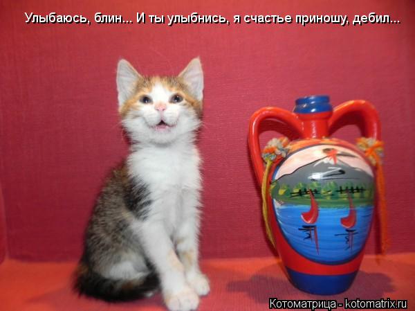 Улыбаюсь, блин... И ты улыбнись, я счастье приношу, дебил... Улыбаюсь, блин... И ты улыбнись, я счаст... Котоматрица: Улыбаюсь, блин... И ты улыбнись, я счастье приношу, дебил... Улыбаюсь, блин... И ты улыбнись, я счастье приношу, дебил...