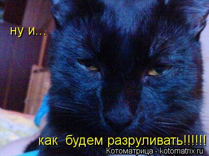 ну и... как будем разруливать!!!!!!... Котоматрица: ну и... как будем разруливать!!!!!!