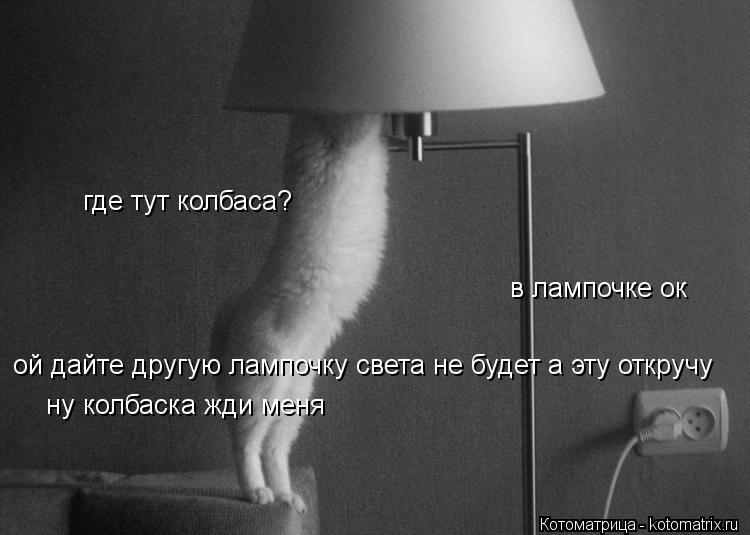 где тут колбаса? в лампочке ок ой дайте другую лампочку света не будет а эту откручу ну колбаска жди ... Котоматрица: где тут колбаса? в лампочке ок ой дайте другую лампочку света не будет а эту откручу ну колбаска жди меня