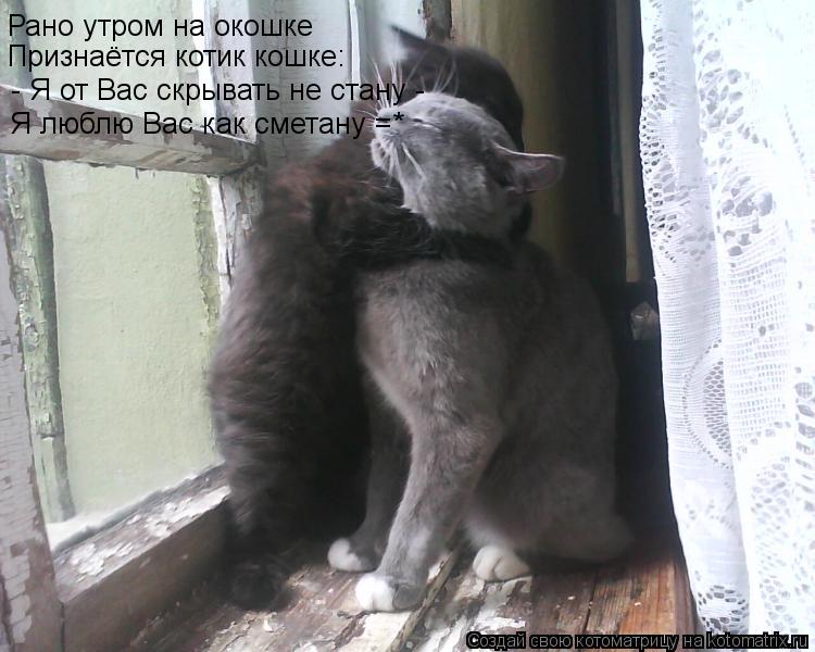 Рано утром на окошке Признаётся котик кошке: - Я от Вас скрывать не стану - Я люблю Вас как сметану ... Котоматрица: Рано утром на окошке Признаётся котик кошке: - Я от Вас скрывать не стану - Я люблю Вас как сметану =*