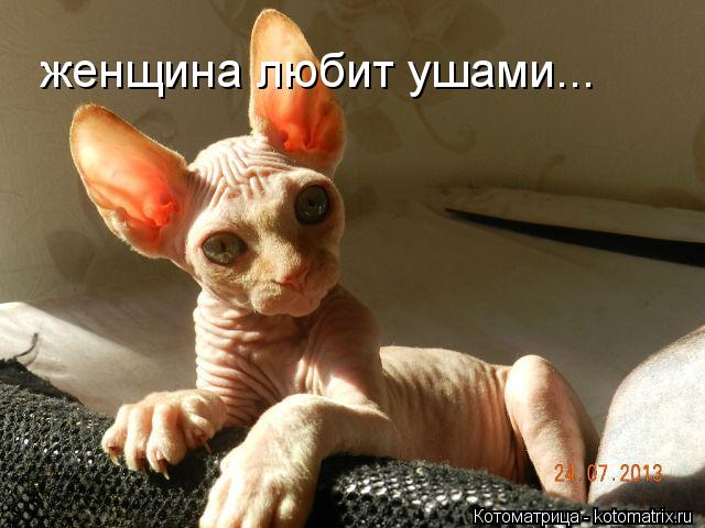 женщина любит ушами...... Котоматрица: женщина любит ушами...