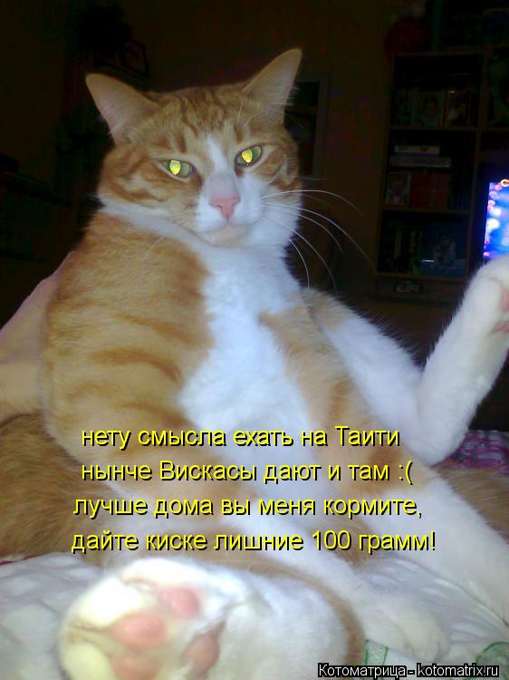 нету смысла ехать на Таити нету смысла ехать на Таити нынче Вискасы дают и там :( лучше дома вы меня ... Котоматрица: нету смысла ехать на Таити нету смысла ехать на Таити нынче Вискасы дают и там :( лучше дома вы меня кормите, дайте киске лишние 100 грамм!