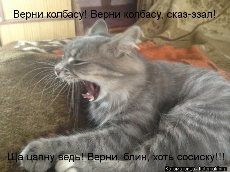 Верни колбасу! Верни колбасу, сказ-ззал! Ща цапну ведь! Верни, блин, хоть сосиску!!!... Котоматрица: Верни колбасу! Верни колбасу, сказ-ззал! Ща цапну ведь! Верни, блин, хоть сосиску!!!