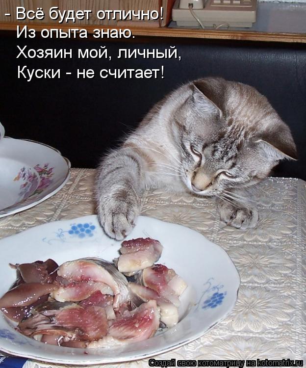 - Всё будет отлично! Из опыта знаю. Хозяин мой, личный, Куски - не считает!... Котоматрица: - Всё будет отлично! Из опыта знаю. Хозяин мой, личный, Куски - не считает!