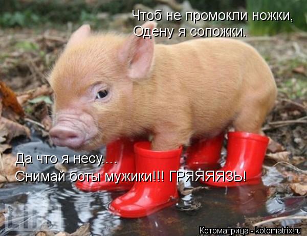 Чтоб не промокли ножки, Одену я сопожки. Да что я несу.... Снимай боты мужики!!! ГРЯЯЯЯЗЬ!... Котоматрица: Чтоб не промокли ножки, Одену я сопожки. Да что я несу.... Снимай боты мужики!!! ГРЯЯЯЯЗЬ!