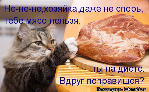Не-не-не,хозяйка,даже не спорь, тебе мясо нельзя, ты на диете. Вдруг поправишся?... Котоматрица: Не-не-не,хозяйка,даже не спорь, тебе мясо нельзя, ты на диете. Вдруг поправишся?