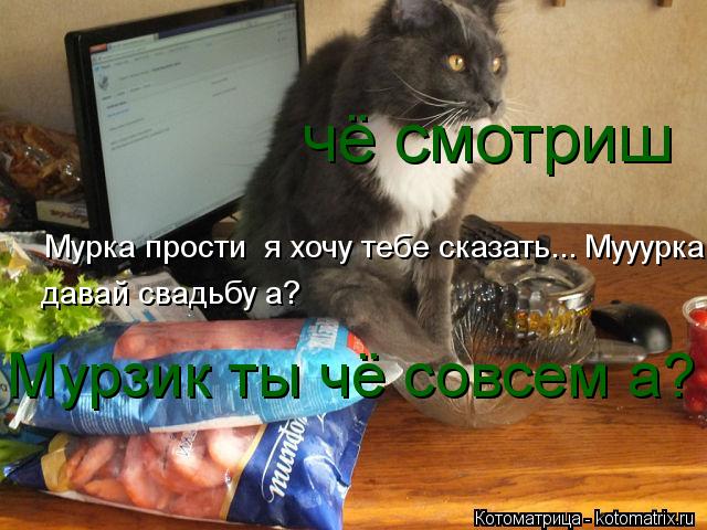 чё смотриш Мурка прости я хочу тебе сказать... Мууурка давай свадьбу? давай свадьбу а? Мурзик ты чё... Котоматрица: чё смотриш Мурка прости я хочу тебе сказать... Мууурка давай свадьбу? давай свадьбу а? Мурзик ты чё совсем а?