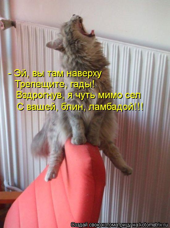 - Эй, вы там наверху Трепещите, гады! Вздрогнув, я чуть мимо сел С вашей, блин, ламбадой!!!... Котоматрица: - Эй, вы там наверху Трепещите, гады! Вздрогнув, я чуть мимо сел С вашей, блин, ламбадой!!!