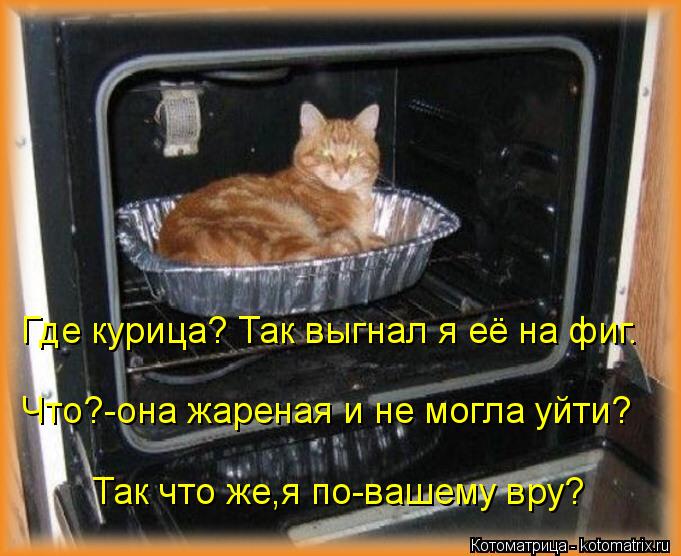 Где курица? Так выгнал я её на фиг. Что?-она жареная и не могла уйти? Так что же,я по-вашему вру?... Котоматрица: Где курица? Так выгнал я её на фиг. Что?-она жареная и не могла уйти? Так что же,я по-вашему вру?