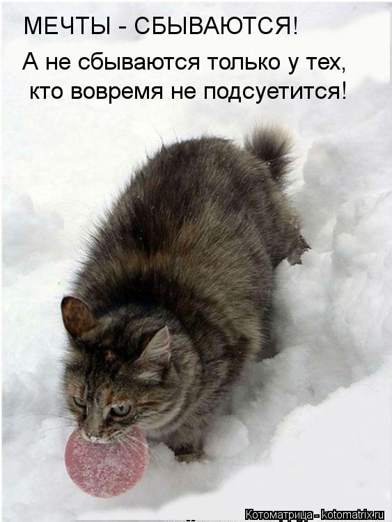 МЕЧТЫ - СБЫВАЮТСЯ! А не сбываются только у тех, кто вовремя не подсуетится!... Котоматрица: МЕЧТЫ - СБЫВАЮТСЯ! А не сбываются только у тех, кто вовремя не подсуетится!