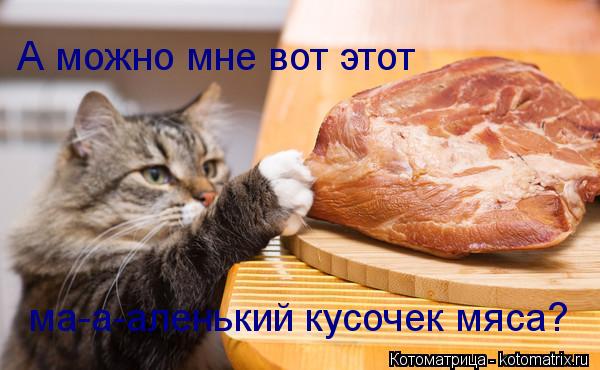 А можно мне вот этот ма-а-аленький кусочек мяса?... Котоматрица: А можно мне вот этот ма-а-аленький кусочек мяса?
