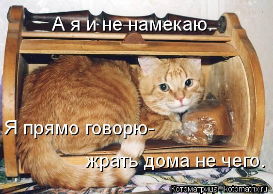 А я и не намекаю. Я прямо говорю- жрать дома не чего.... Котоматрица: А я и не намекаю. Я прямо говорю- жрать дома не чего.