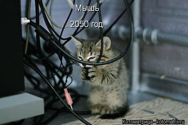 Мышь 2050 год... Котоматрица: Мышь 2050 год