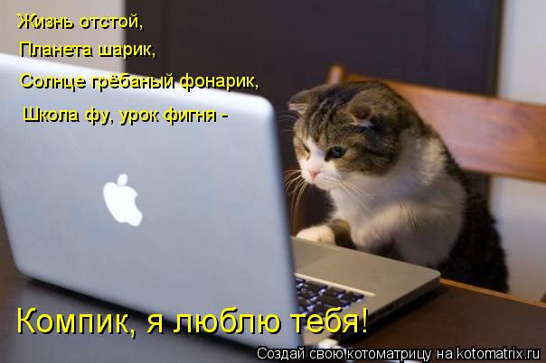 Жизнь отстой, Планета шарик, Солнце грёбаный фонарик, Школа фу, урок фигня - Компик, я люблю тебя!... Котоматрица: Жизнь отстой, Планета шарик, Солнце грёбаный фонарик, Школа фу, урок фигня - Компик, я люблю тебя!