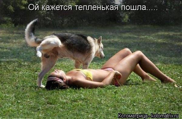 Ой кажется тепленькая пошла........ Котоматрица: Ой кажется тепленькая пошла.....