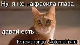 Ну, я же накрасила глаза, давай есть..... Котоматрица: Ну, я же накрасила глаза, давай есть..