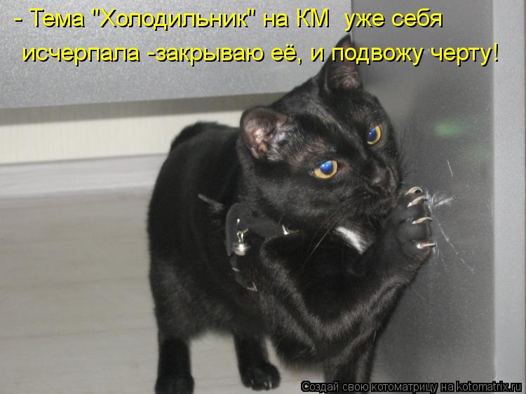 - Тема "Холодильник" на КМ уже себя исчерпала -закрываю её, и подвожу черту!... Котоматрица: - Тема "Холодильник" на КМ уже себя исчерпала -закрываю её, и подвожу черту!