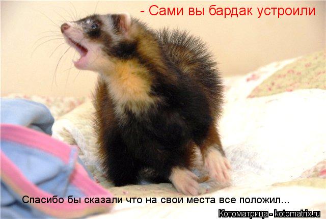 - Сами вы бардак устроили Спасибо бы сказали что на свои места все положил...... Котоматрица: - Сами вы бардак устроили Спасибо бы сказали что на свои места все положил...