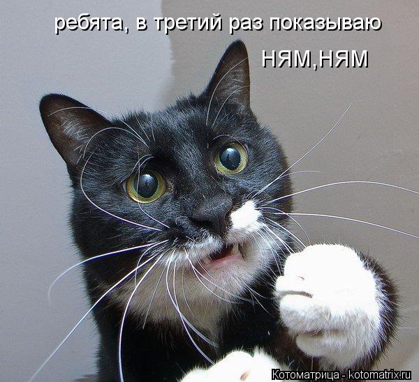 НЯМ,НЯМ ребята, в третий раз показываю... Котоматрица: НЯМ,НЯМ ребята, в третий раз показываю