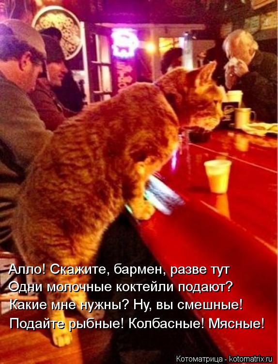 Алло! Скажите, бармен, разве тут Одни молочные коктейли подают? Какие мне нужны? Ну, вы смешные! Пода... Котоматрица: Алло! Скажите, бармен, разве тут Одни молочные коктейли подают? Какие мне нужны? Ну, вы смешные! Подайте рыбные! Колбасные! Мясные!