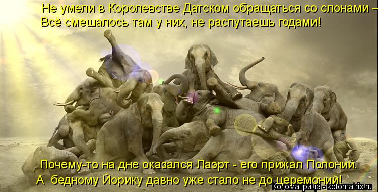 Не умели в Королевстве Датском обращаться со слонами – Всё смешалось там у них, не распутаешь годами... Котоматрица: Не умели в Королевстве Датском обращаться со слонами – Всё смешалось там у них, не распутаешь годами! Почему-то на дне оказался Лаэрт - его