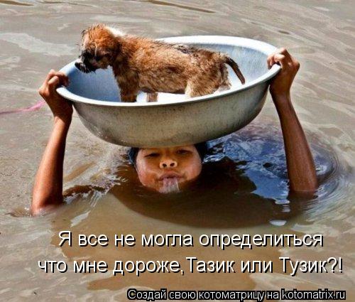 Я все не могла определиться что мне дороже,Тазик или Тузик?!... Котоматрица: Я все не могла определиться что мне дороже,Тазик или Тузик?!