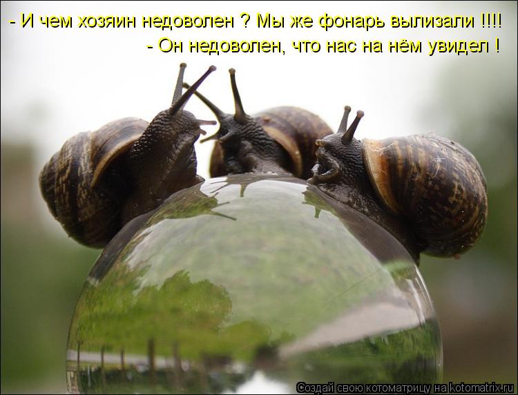 - И чем хозяин недоволен ? Мы же фонарь вылизали !!!! - Он недоволен, что нас на нём увидел !... Котоматрица: - И чем хозяин недоволен ? Мы же фонарь вылизали !!!! - Он недоволен, что нас на нём увидел !
